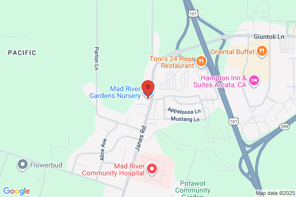 Mad River Tree Nursery & Transplant Co
