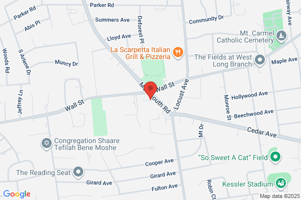 West Long Branch Electrolysis