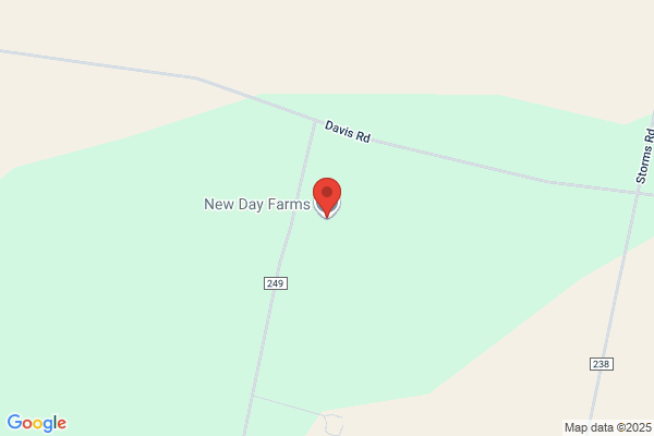 Day Lay Egg Farm