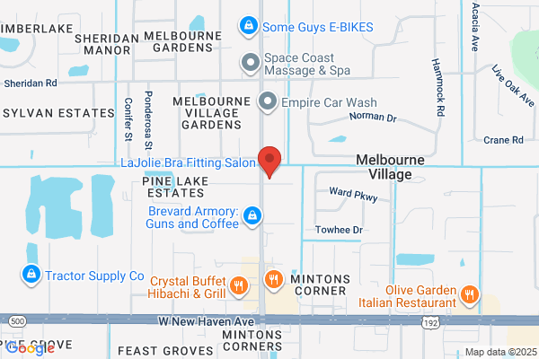 A Professional Insurance Agency