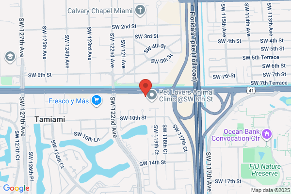 Dental Design Smile Miami