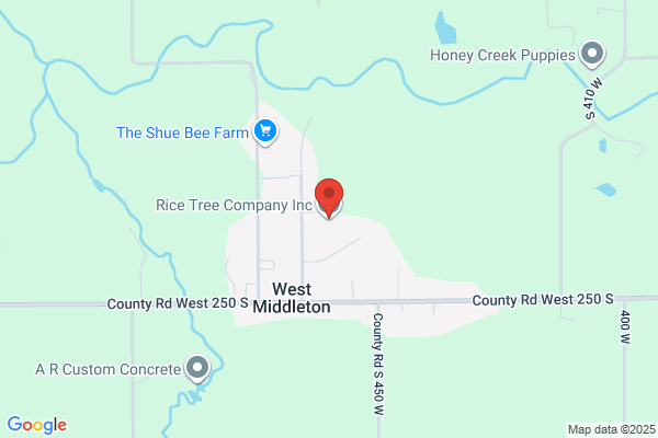 Rice Tree Co Inc