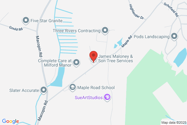 James Maloney & Sons Tree Service