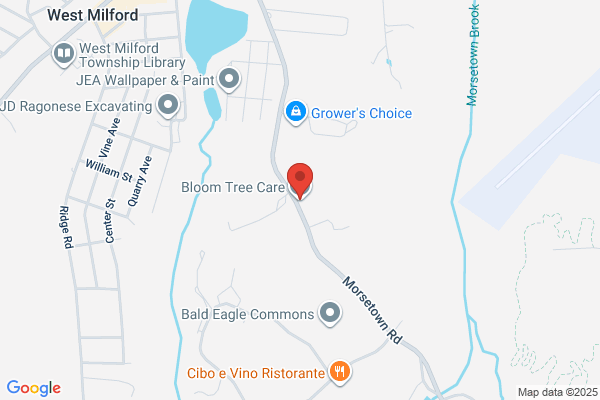 Bloom Tree Care LLC