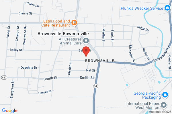 Bo Smith Fire Protection Llc