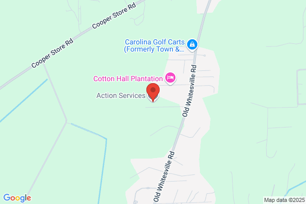 Action Services Inc