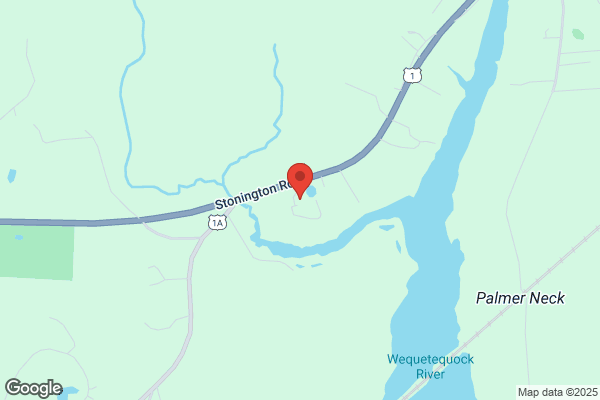 Stonington Feed