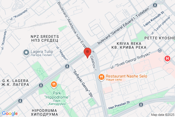 Dimitrov Nadya Dr MD