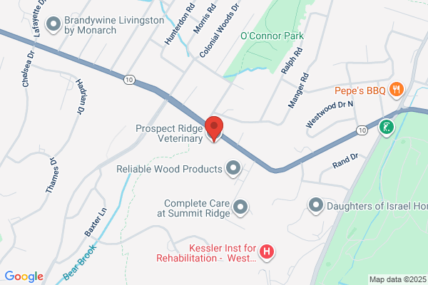 Prospect Ridge Veterinary Hospital