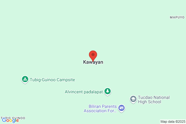 Kawayan