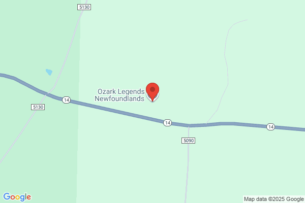 Ozark Legends Newfoundlands