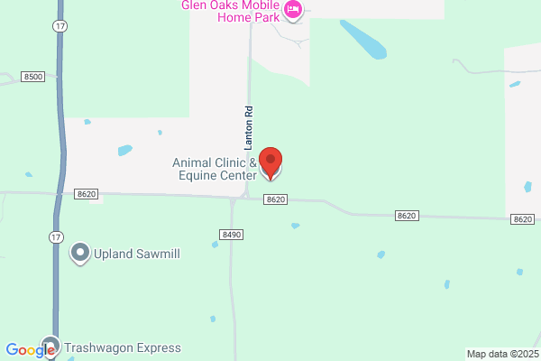 Animal Clinic & Equine Center