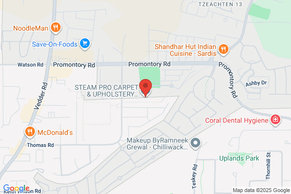 Steam Pro Carpet Cleaning