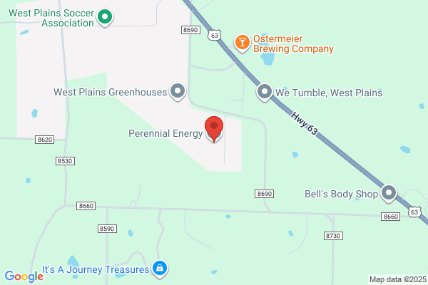 Perennial Energy Inc