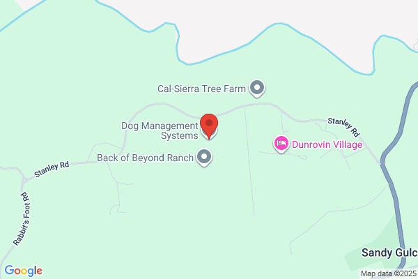 Dog Management Systems