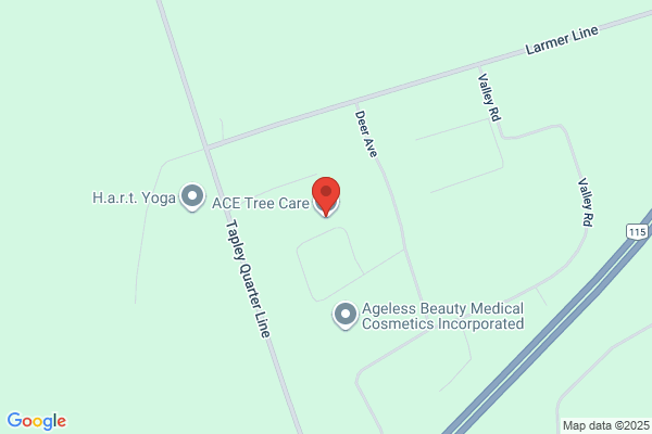 Ace Tree Care