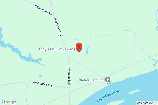 Ethyl-Old Town Farms