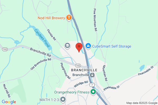 Brandstrom Instruments Inc