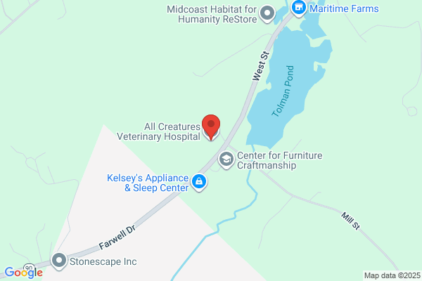 All Creatures Veterinary Hospital