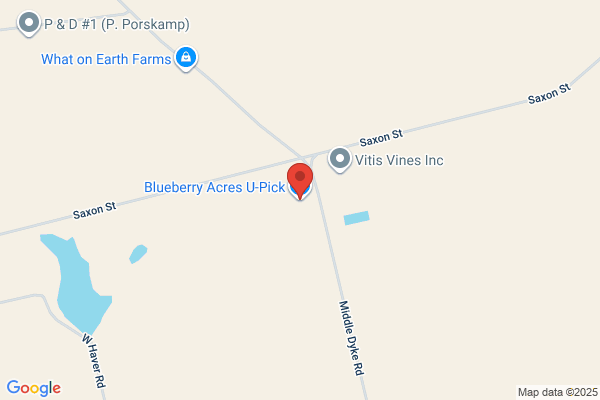Blueberry Acres