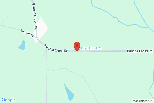 Lily Hill Farm