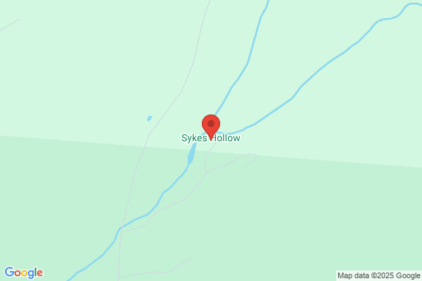 Sykes Hollow Kennels Inc