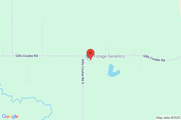 Forage Genetics