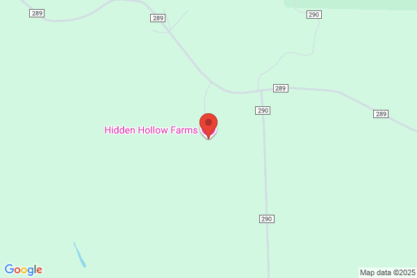 Hidden Hollow Inn