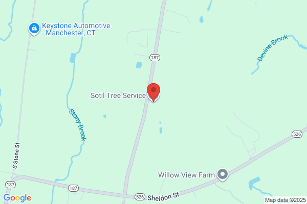 Sotil Tree Service