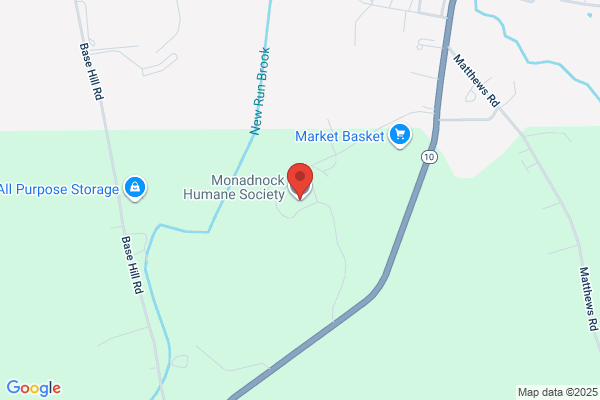Animal Tracks At Monadnock Humane Society