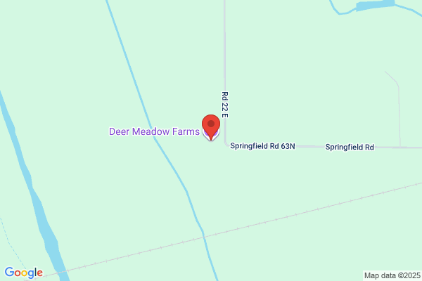Deer Meadow