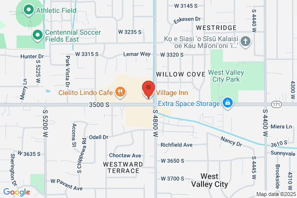 Village Inn