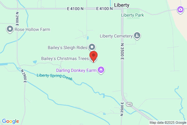 Bailey Stump & Tree Co