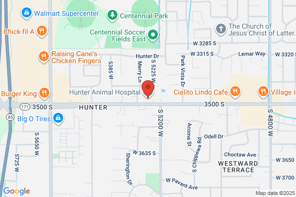 Hunter Animal Hospital
