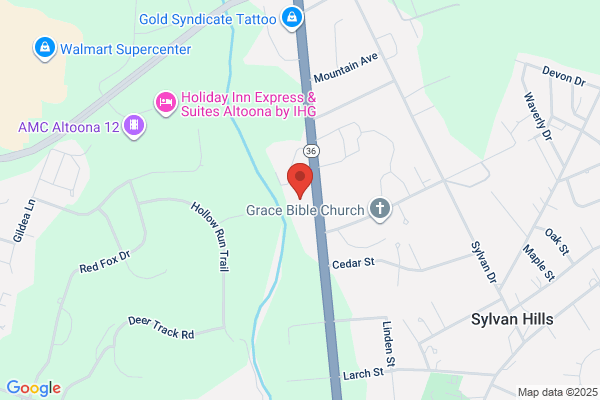 Fiore Volkswagen