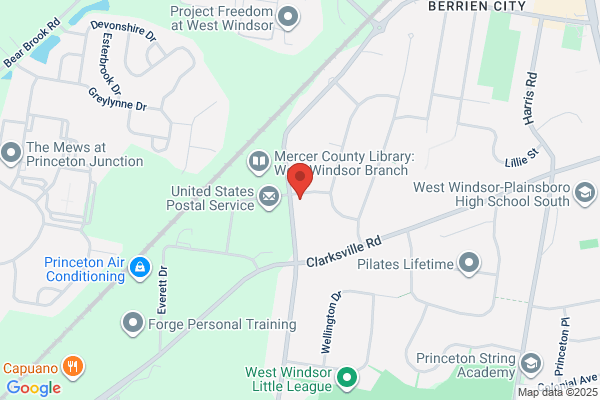 Princeton Security Systems Inc