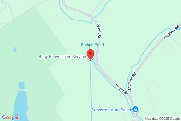 Busy Beaver Tree Service