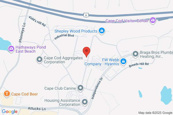 Argus Auto Sales & Repair