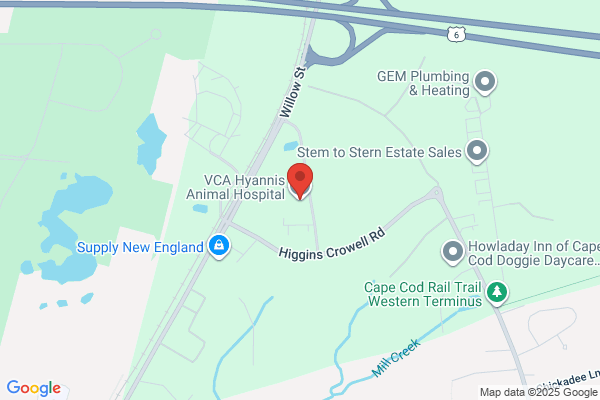 VCA Hyannis Animal Hospital