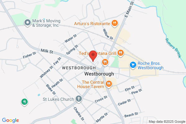 Associates Animal Hospital of Westboro