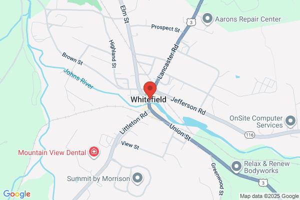 Village Gun Shop