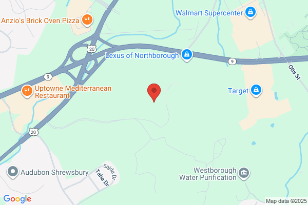 Bay State Physical Therapy - Westborough