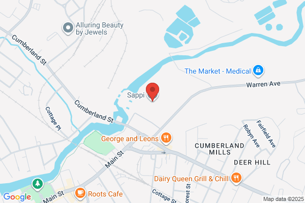 Dana Warp Mill Llc