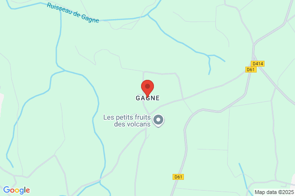Gagne & Son