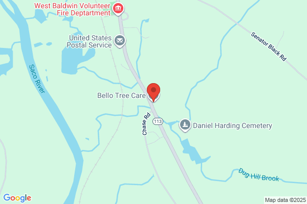 Bello Tree Care
