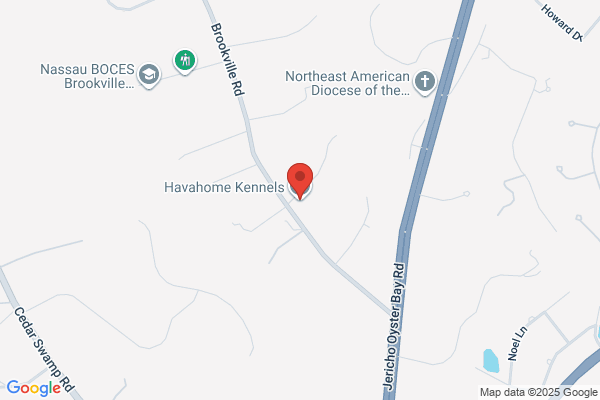 Havahome Kennels