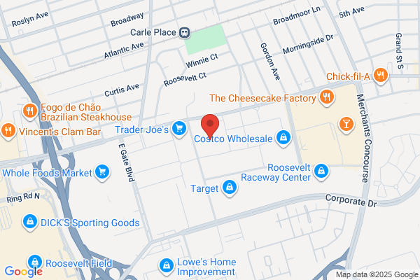 Geek Squad