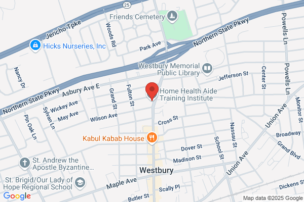 HOME HEALTH AIDE INSTITUT