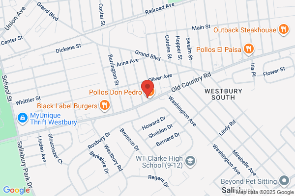 Long Island Animal Hospital
