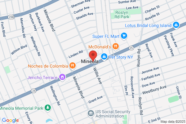 Mineola Diner